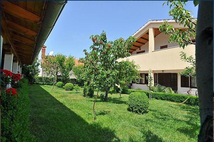 Apartment Pokrajac Ровиньско село Номер фото